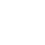 necton.png