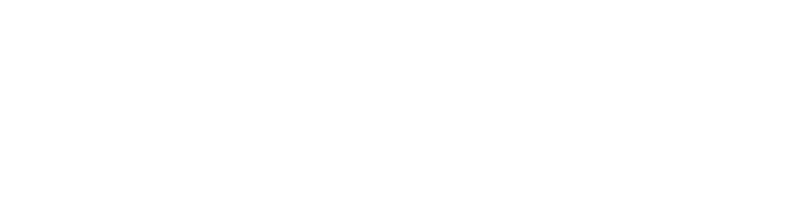 toro.png